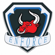 Логотип Enforce Team.