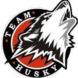 Логотип Team Hasky.